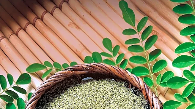Massachusetts to Restrict Kratom Sales Amid Health Concerns