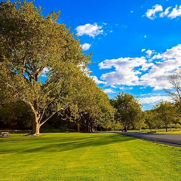 Five Mile Creek Greenbelt in Southern Dallas Receives $2 Million Federal Funding Boost