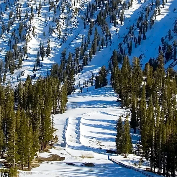 Sand Creek Fire Destroys Maverick Mountain Ski Structures, Threatens Homes