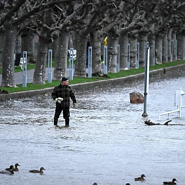 Bystanders Rescue Family from Floodwaters in Sabino Canyon, Arizona