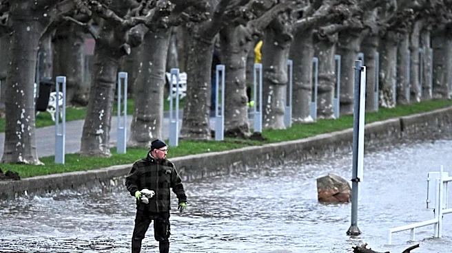 Bystanders Rescue Family from Floodwaters in Sabino Canyon, Arizona