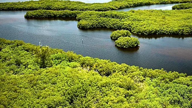 Florida's Robinson Preserve: A Model for Environmental Restoration and Economic Growth