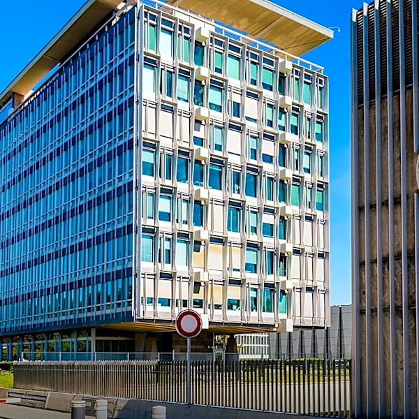 WHO Africa and TDR Launch Impact Grants for Health Research in Africa