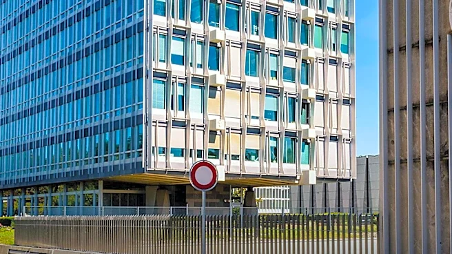 WHO Africa and TDR Launch Impact Grants for Health Research in Africa