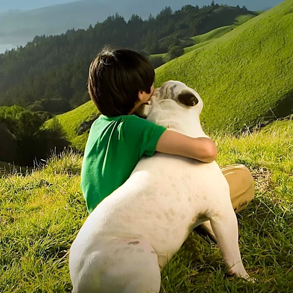 Reunited After a Year: Dog and Owner's Heartwarming Reunion