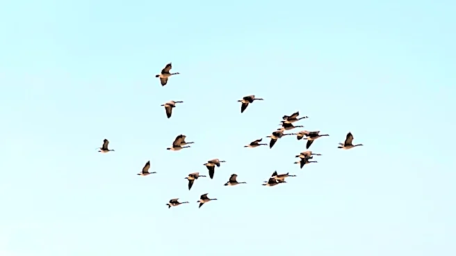 Flock Safety Updates Software Amid Privacy Concerns in Oklahoma City