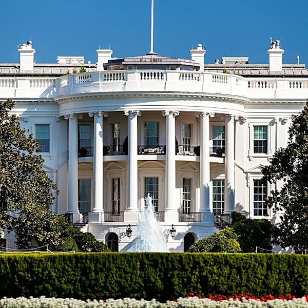 U.S. Government Opens IT Specialist Positions Under Direct Hire Authority