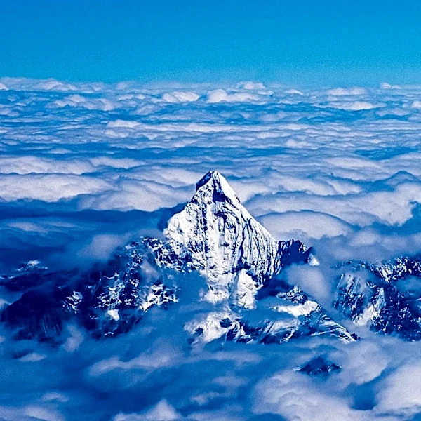 Denisovan Mandible Discovery Sheds Light on Ancient High-Altitude Adaptation