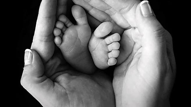 Surrogate McKenna West Faces Legal Hurdles in Bid to Retain Custody of Newborn