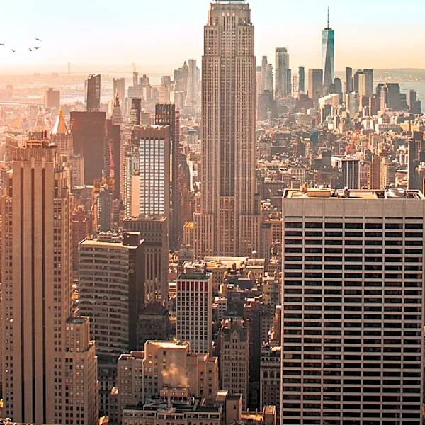 New York City Mayor Zohran Mamdani's Policies Linked to "Third-Worldism" Ideology