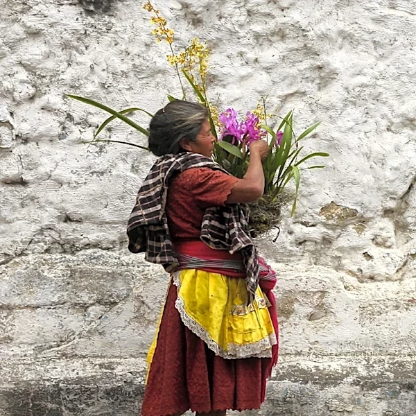Elderly Guatemalans Face Significant Challenges Despite Young Population