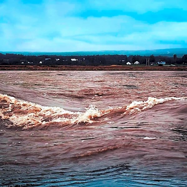 Intense Rainfall Causes Flooding and Sewer Collapse in Villa El Salvador, Peru