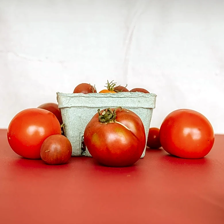 Sunnyside Master Gardeners Host Fourth Annual Tomato Festival in Georgetown, Indiana