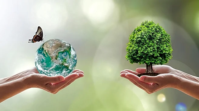 New York State Seeks Environmental Analysts for Regulatory Programs