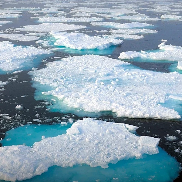 Antarctica's Melting Ice Accelerates Mercury Release, Posing Environmental and Health Risks