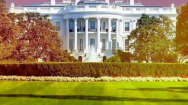 Trump Administration Replaces Head of Western Hemisphere Affairs Office, Appointing Juan Pablo Segura