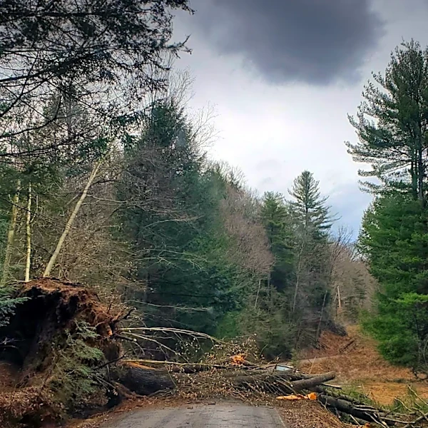 National Weather Service Reports 90 MPH Winds in Albemarle County, Virginia