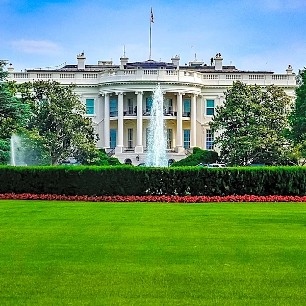 President Trump Faces 25th Amendment Calls Following Bizarre Social Media Post
