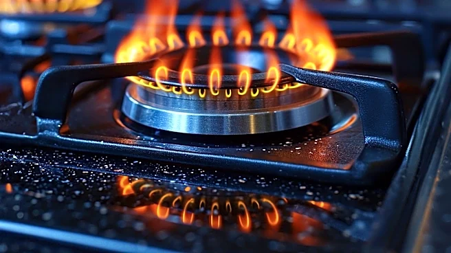 Miami-Dade Woman Charged with Child Abuse and Arson After Pouring Hot Wax on Daughter and Setting Kitchen Fire