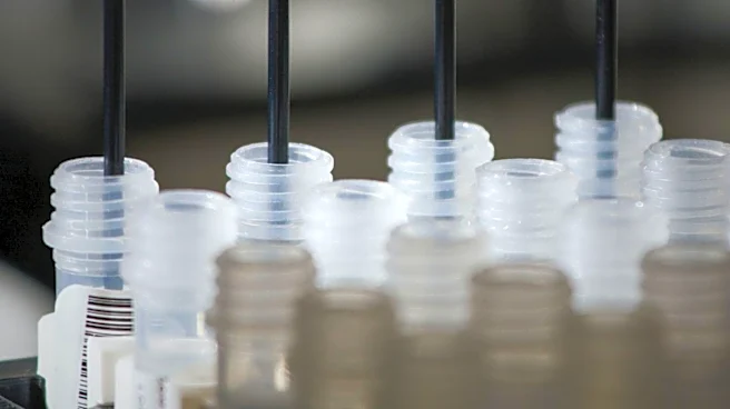 Research Explores Transcription Factors' Role in Adaptive Immunity and Cancer
