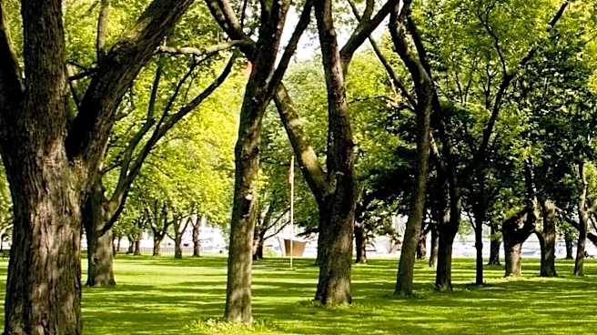 Fargo-Moorhead Metro Forestry Departments Manage Over 100,000 Trees, Combatting Disease and Promoting Urban Greenery