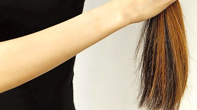 Study Reveals Mineral-Rich Diets in Early Modern to Modern Urban Japan Through Hair Analysis