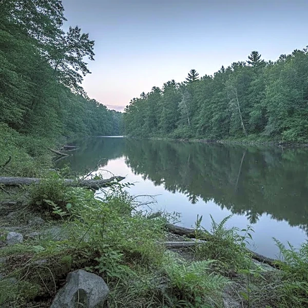 Woman Drowns Saving Son at Independence Grove Forest Preserve in Libertyville, Illinois