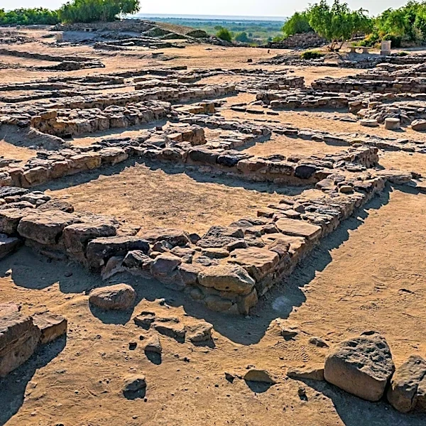 Archaeological Discoveries Challenge Historical Narratives of Odesa's Founding