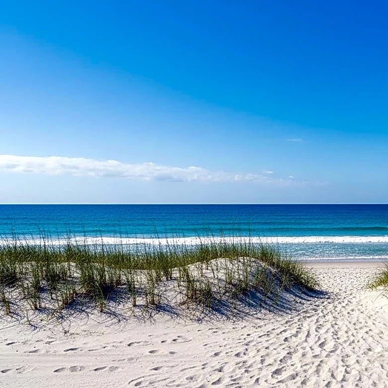 Historically Black Beaches Reveal Legacy of Segregation and Resilience in U.S. Travel