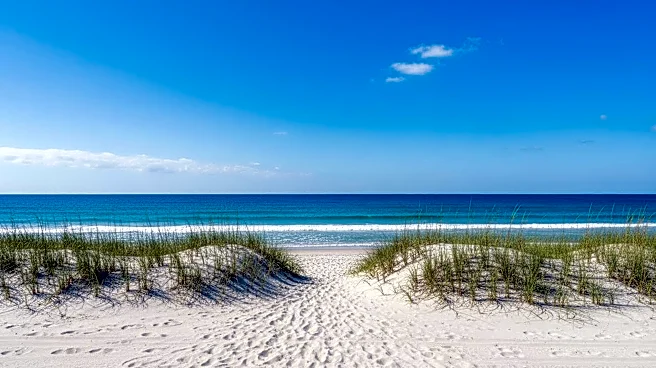 Historically Black Beaches Reveal Legacy of Segregation and Resilience in U.S. Travel
