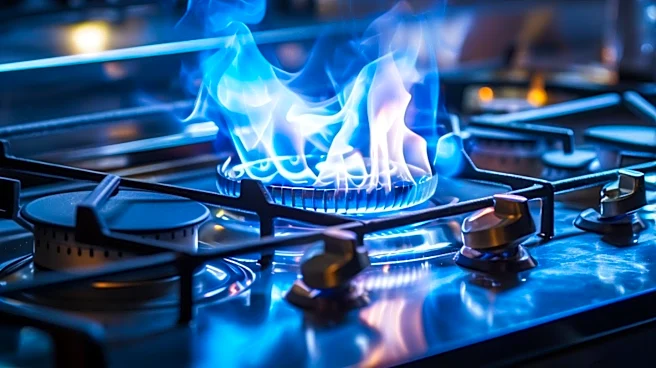 Florida Mother Arrested on Arson and Child Abuse Charges After Kitchen Fire and Hot Wax Incident