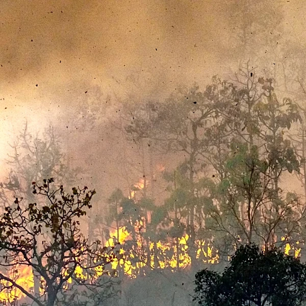 Morton County Maintains Burn Ban Despite Recent Rains Following Landowner Fire Incident
