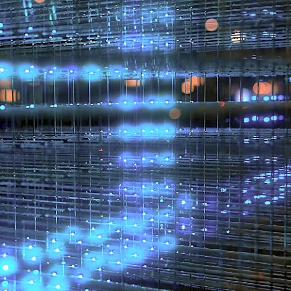 UTSA Takes Services Offline Following Attempted Cybersecurity Breach
