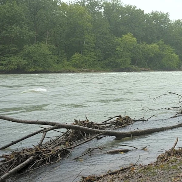 Illinois Mother Dies Saving Son During Fishing Trip in Des Plaines River