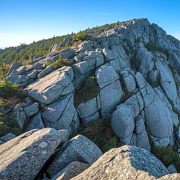 Raleigh First Responders Execute Mile-High Rescue on Grandfather Mountain