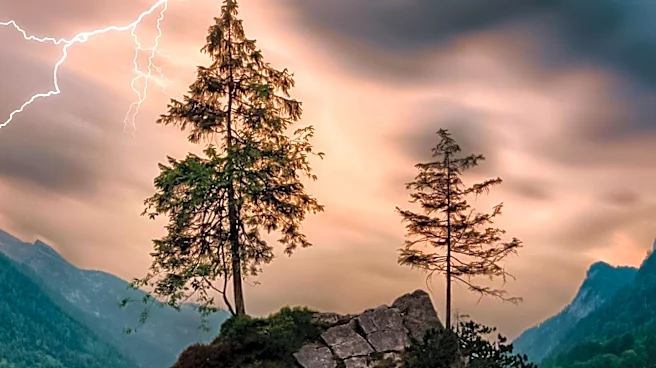 Lightning Strike Causes Fire in Lake George, Colorado; Crews Achieve Full Containment