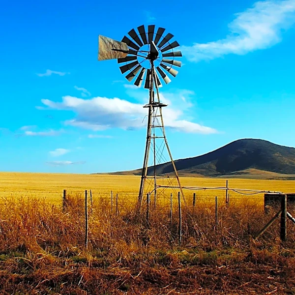 36-Acre Colorado Land Parcel Near Kiowa and Elizabeth Offers Rural Living Opportunities