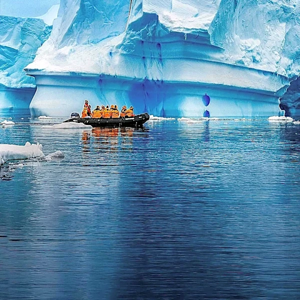 Former Antarctic Tour Guides Quit Due to Environmental Concerns and Industry Practices