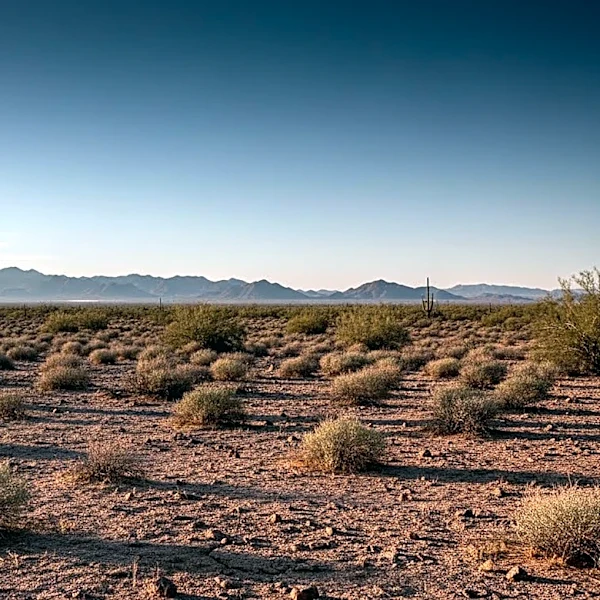 Pima County Sheriff's Department Confirms Human Remains in Tucson Unrelated to Nancy Guthrie Disappearance