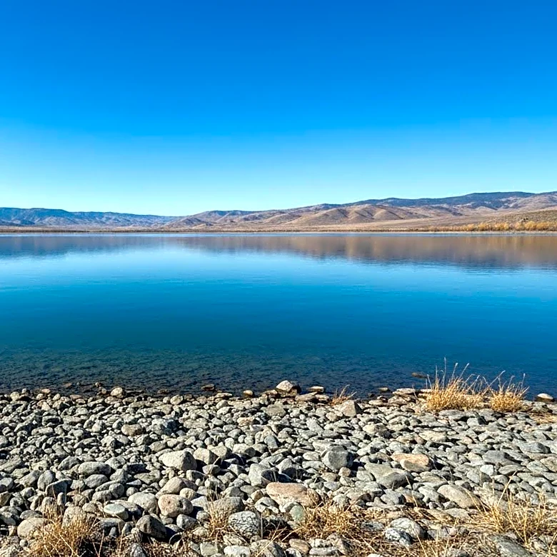 Invasive New Zealand Mudsnails Infest Carter Lake, Colorado, Prompting Warning for Watercraft Users