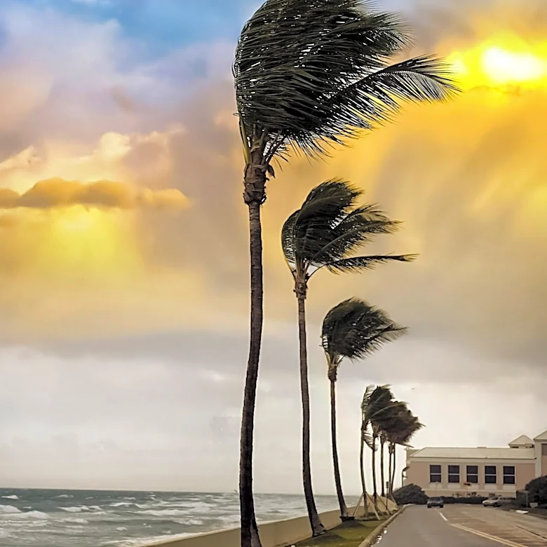 Florida Residents Urged to Avoid Common Hurricane Preparation Mistakes Amidst Active Season