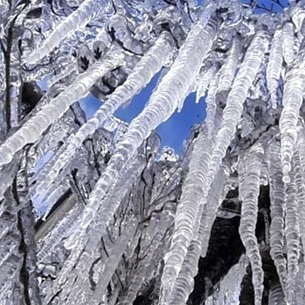Nashville Commission Identifies Metro Government Failures in January Ice Storm Response