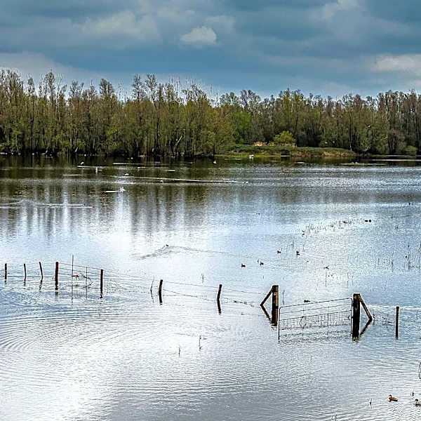 Study Reveals Severe Flooding Increases Deadly Overdose Risk in Rural Appalachia