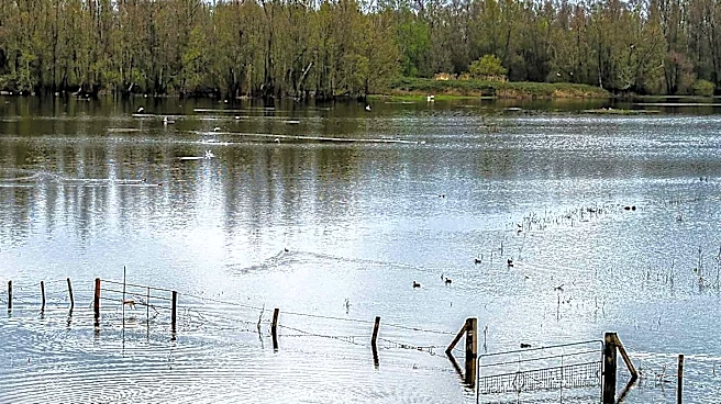 Study Reveals Severe Flooding Increases Deadly Overdose Risk in Rural Appalachia