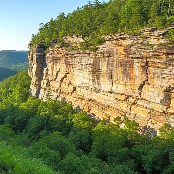 Nine Chicago-Area College Students Rescued After Getting Lost in Kentucky's Red River Gorge