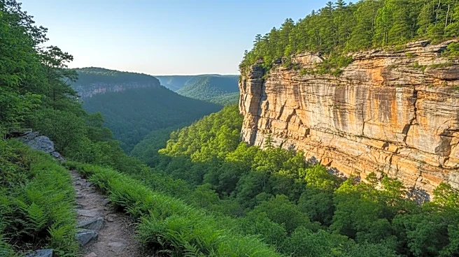 Nine Chicago-Area College Students Rescued After Getting Lost in Kentucky's Red River Gorge