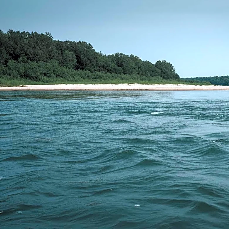 Man in Critical Condition After Near-Drowning in Savannah River