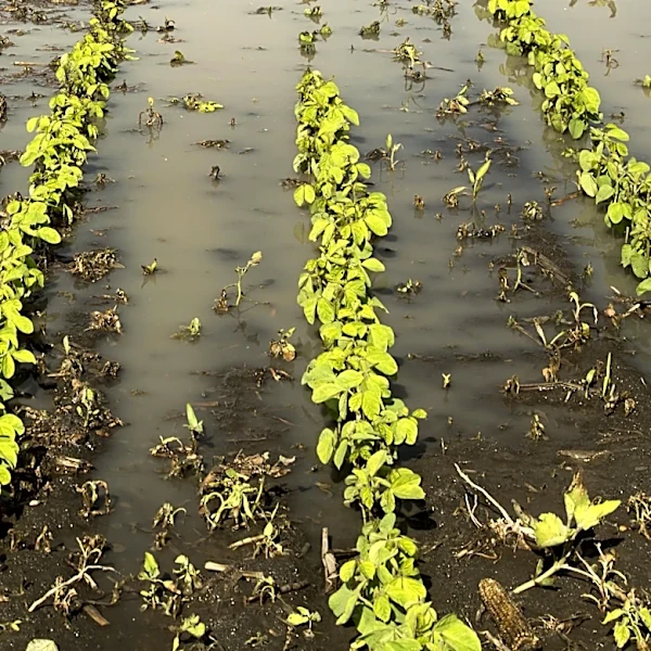 Senator John Hoeven Introduces Two-Part Plan to Aid Farmers Affected by Fargo-Moorhead Flood Diversion
