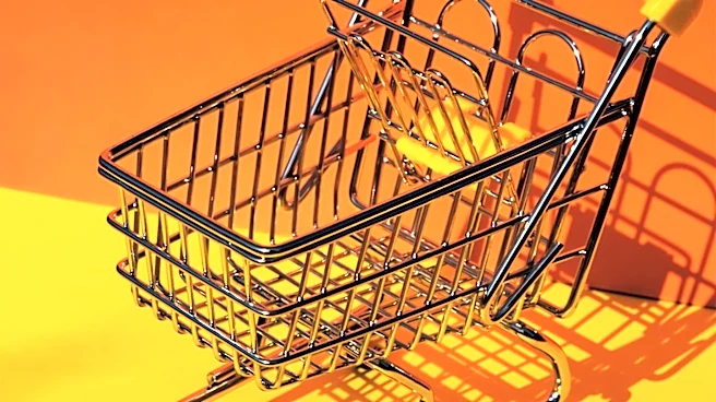 Honolulu City Council Considers Fines and Jail Time for Unauthorized Shopping Cart Possession