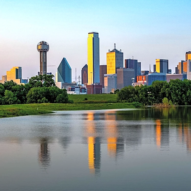 Dallas County Leaders Honor Sylvia Collins Posthumously for Community Activism